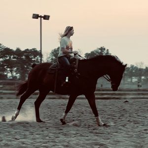 Meet your Posher, Abigail